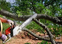 Best Tree Mulching  in Mdleton, ID